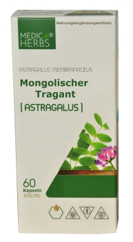 Astragalus extract, 60 capsules, fights allergies, for weakness, for energy, strength, lowers sugar levels in diabetes